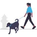 illustration of owner with pet
